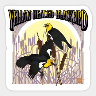 Yellow Headed Black Bird square Sticker